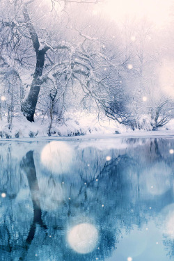 wnderlst:  Pond ↝ Vitaliy Bovanko   