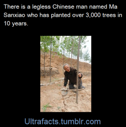 ultrafacts:Ma Sanxiao is sixty two-year-old