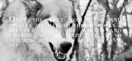 theons:asoiaf meme: [1/3] relationships » the Starks and their direwolvesThese wolves are more than 