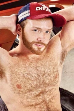 redhotbear-redhotbare: reds-and-gingers: