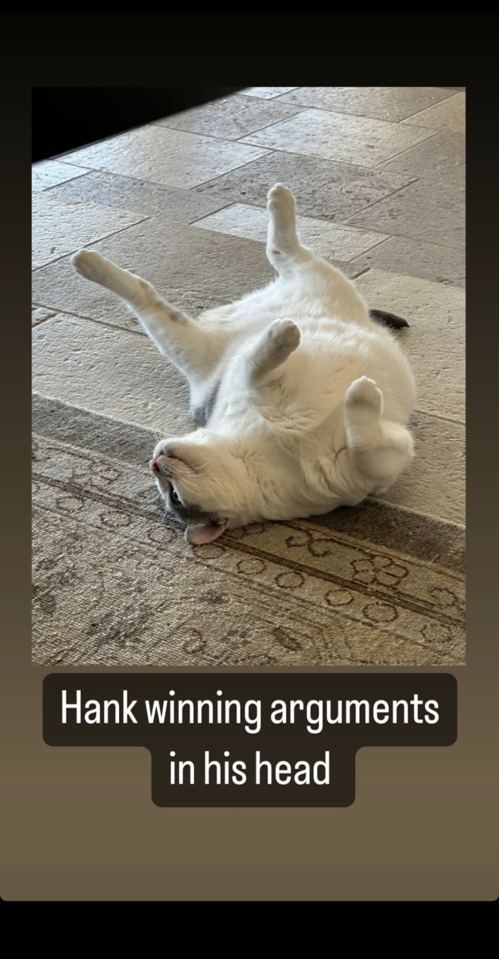 Tumblr media