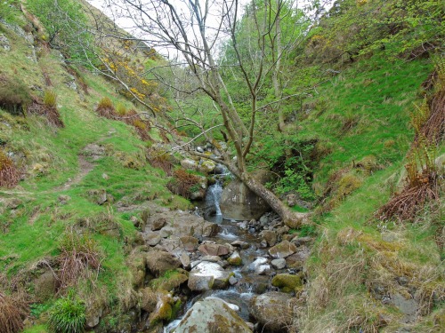 Hill walk in the Ochils from  Tillicoultry.As we leave the burn and it’s waterfalls behind, the hill