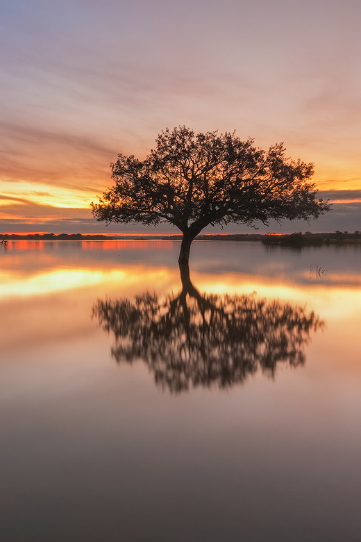 bowhurst:  ×  Just beautiful things   ×  Also on Instagram  × 