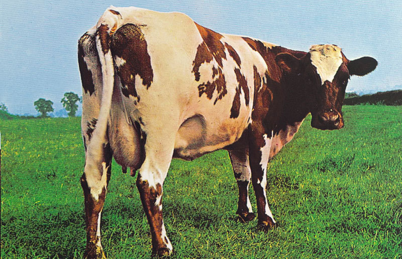 everybodyneedspinkfloyd:  Storm Thorgerson |  28/02/1944–18/04/2013 