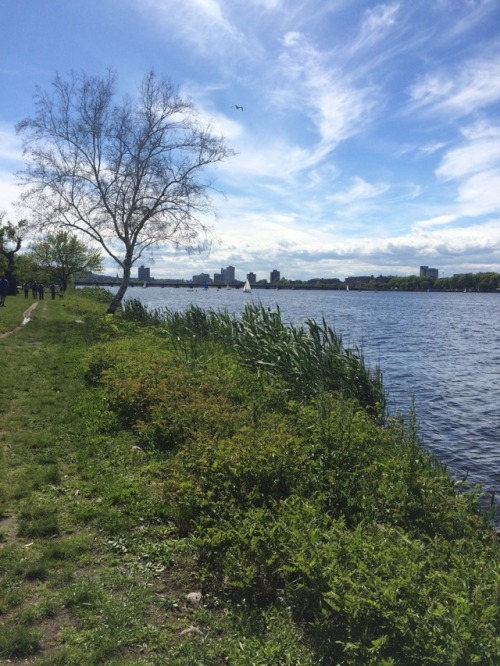 Yesterday, to celebrate the first day of summer, I went for a big walk around Boston. I went from Lo