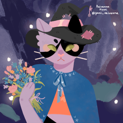 Kitty Cat Fun Times. Make Whatever The Hell You Want.