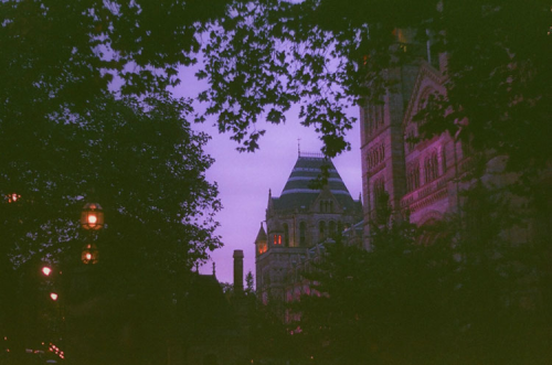expressions-of-nature:  England by Victoria