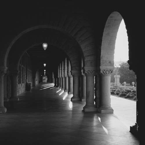 walking on Stanford campus yesterday