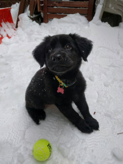 followmethroughthedarkness:  Yes you need this puppy!!!!