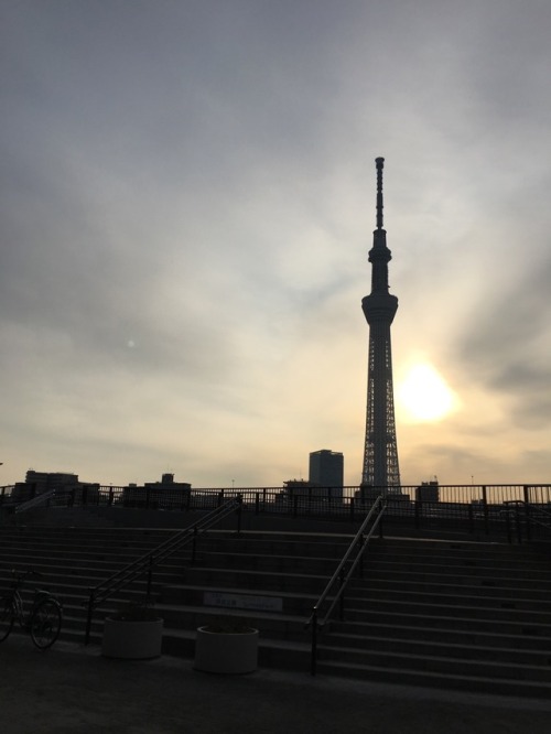 I took Skytree in the morning