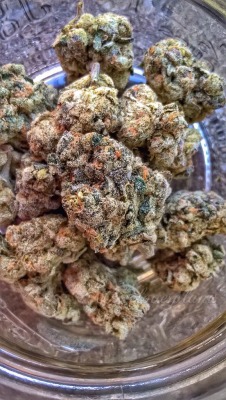 shelovesplants:This Girl Scout cookies is