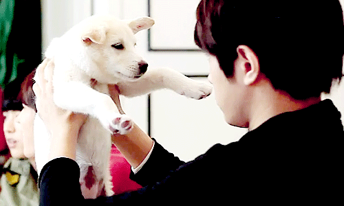 INFINITE Lovely With Puppies