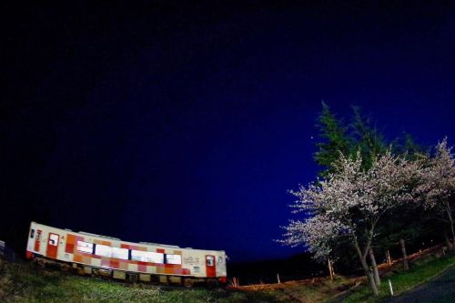 矢島駅近く #由利高原鉄道#金星#桜のある風景#akitavision#4月のあきたびじょん2020#勝手に由利鉄沿線宣伝部#pentaxk70 #pentax (由利鉄・矢島