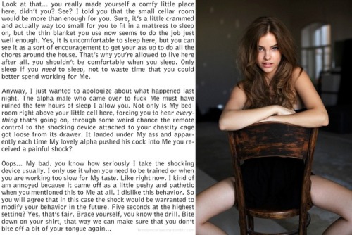 (Barbara Palvin)Request: “Setting of Chastity (with remote electro shock control), Cuckolding 