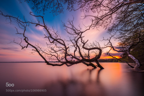 random-photos-x:  The Table by frjd. (http://ift.tt/1P7UJx7)
