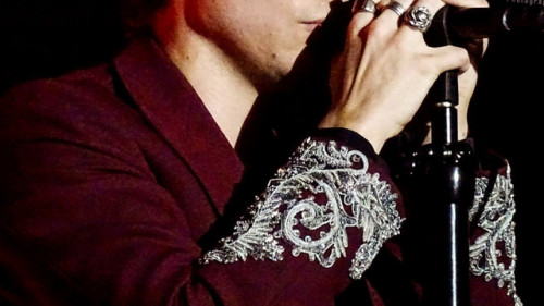 missnothing22loveslarry:Fashion is artHarry Styles Live On Tour Favourite details