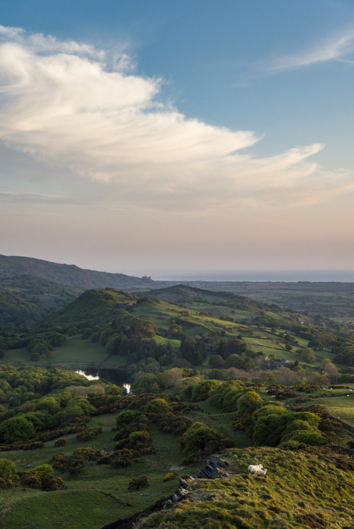 Porn Pics lovewales:Llandecwynh  |  by Andrew Kearton