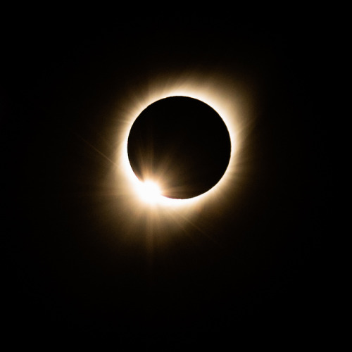 Canis Major anmd the incredibly bright ball :) Total eclipse of the sun Sam Juan, Argentina 2019