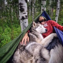 asylum-art-2:  Man takes his dogs on an amazing photographic journey   Breakin’ Hearts,  Facebook,  Instagram Loki  is a wolfdog — husky, arctic wolf, malamute mix — who lives in Colorado  with his owner, Kelly Lund. From hanging out in a backpacking