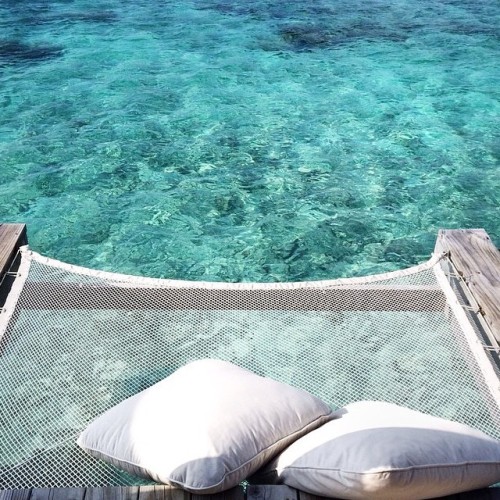balibodysposts: Bliss || Bali Body. Take Bali Body on your next island escape. $14 and sold exclusiv