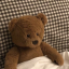 teddybeqrs
