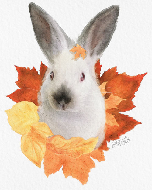 mothsplaining: mothsplaining:californian bb!might offer semi-custom bun portraits featuring your bun