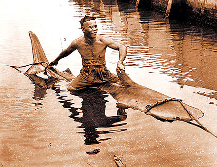 Fisherman Filomeno Patacsil riding an 800lb tiger shark which he caught in his net, Hawaii, 1957.