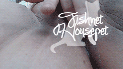 fishnethousepet:  These three clips are now available on http://clips4sale.com/66373 :D