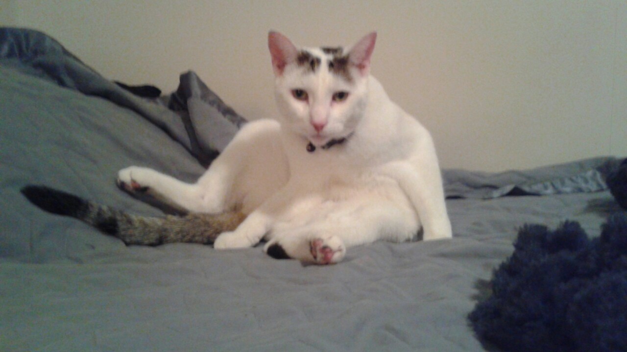 homofuck:this is buster in his natural state.
