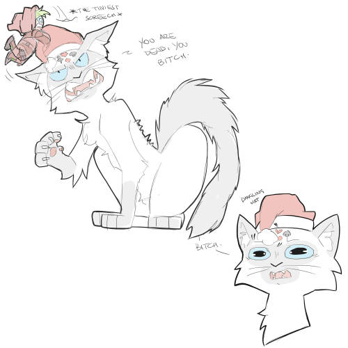So….I was chatting with friends on Discord about an incredibly smol JBM and cat Marv that wan