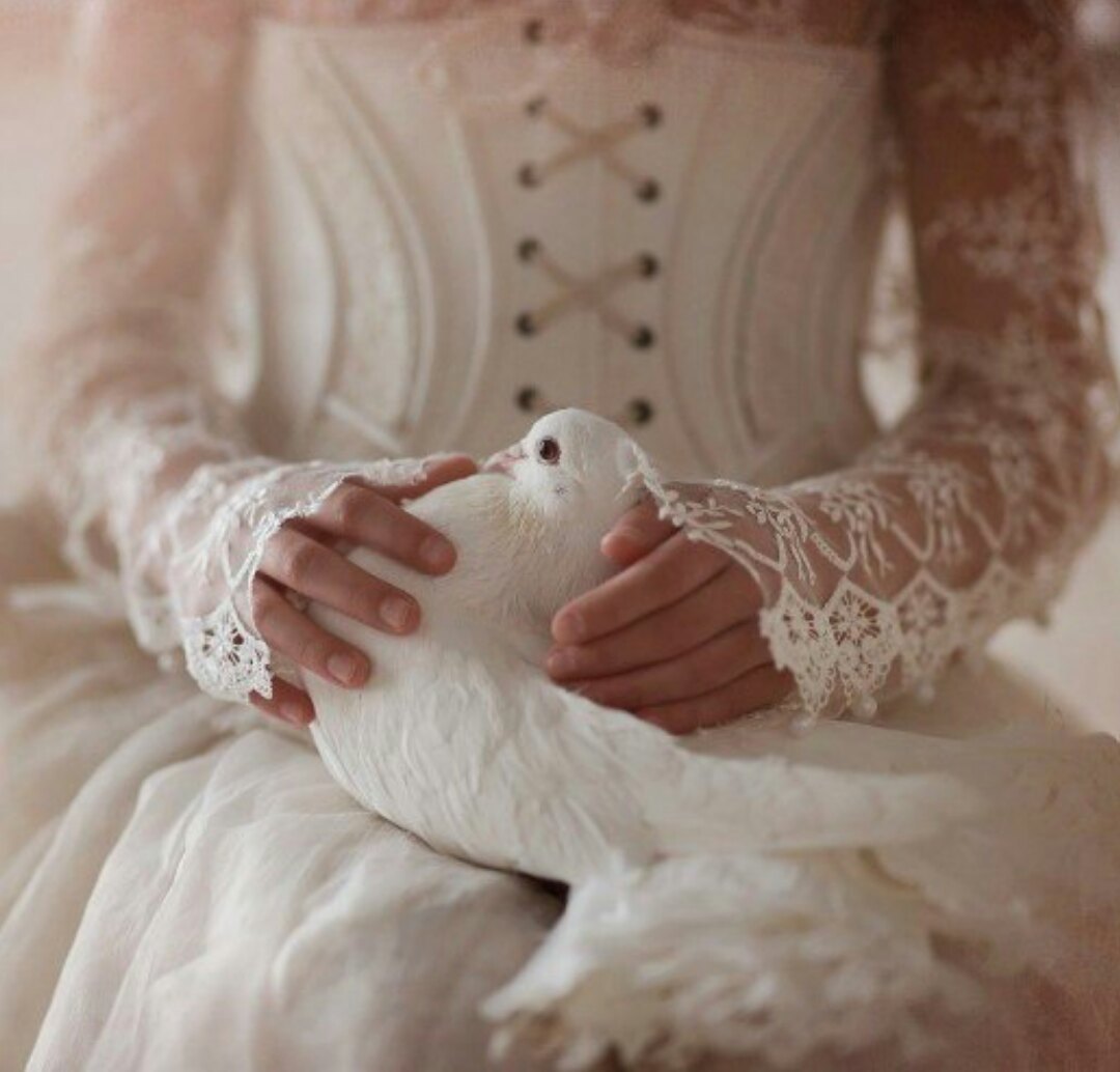 tumblr_pwhyaq3xuP1yqikmeo1_1280.jpg