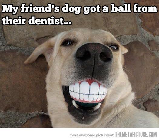 Funny Pic