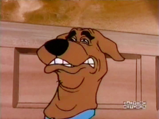 noxiatoxia:  robobeeach:  jelloapocalypse:  unadulteratedpiratepizza:  darkvioletcloud: