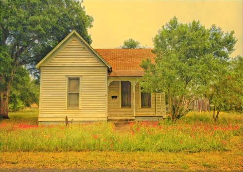 marjoree:  No one lives in this house. Never for rent, never for sale, but the yard is always tended (someone has carefully mowed around the wildflowers). I wonder.