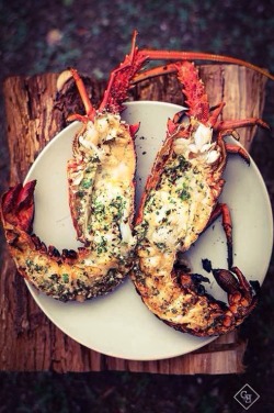 gentlemansessentials:  Lobster With Garlic   Gentleman’s Essentials
