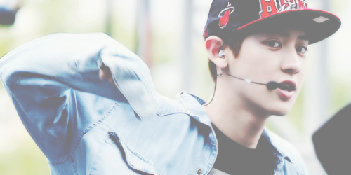 EXO Pale Headers