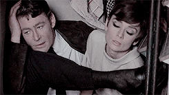 myfairgolightly:ENDLESS LIST OF FAVORITE MOVIES → How To Steal A Million (1966)I’m a society burglar
