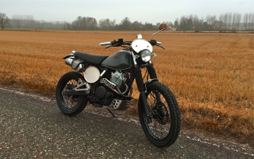 Porn Pics caferacerpasion:  Honda NX650 Scrambler by