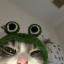elvsfatbi