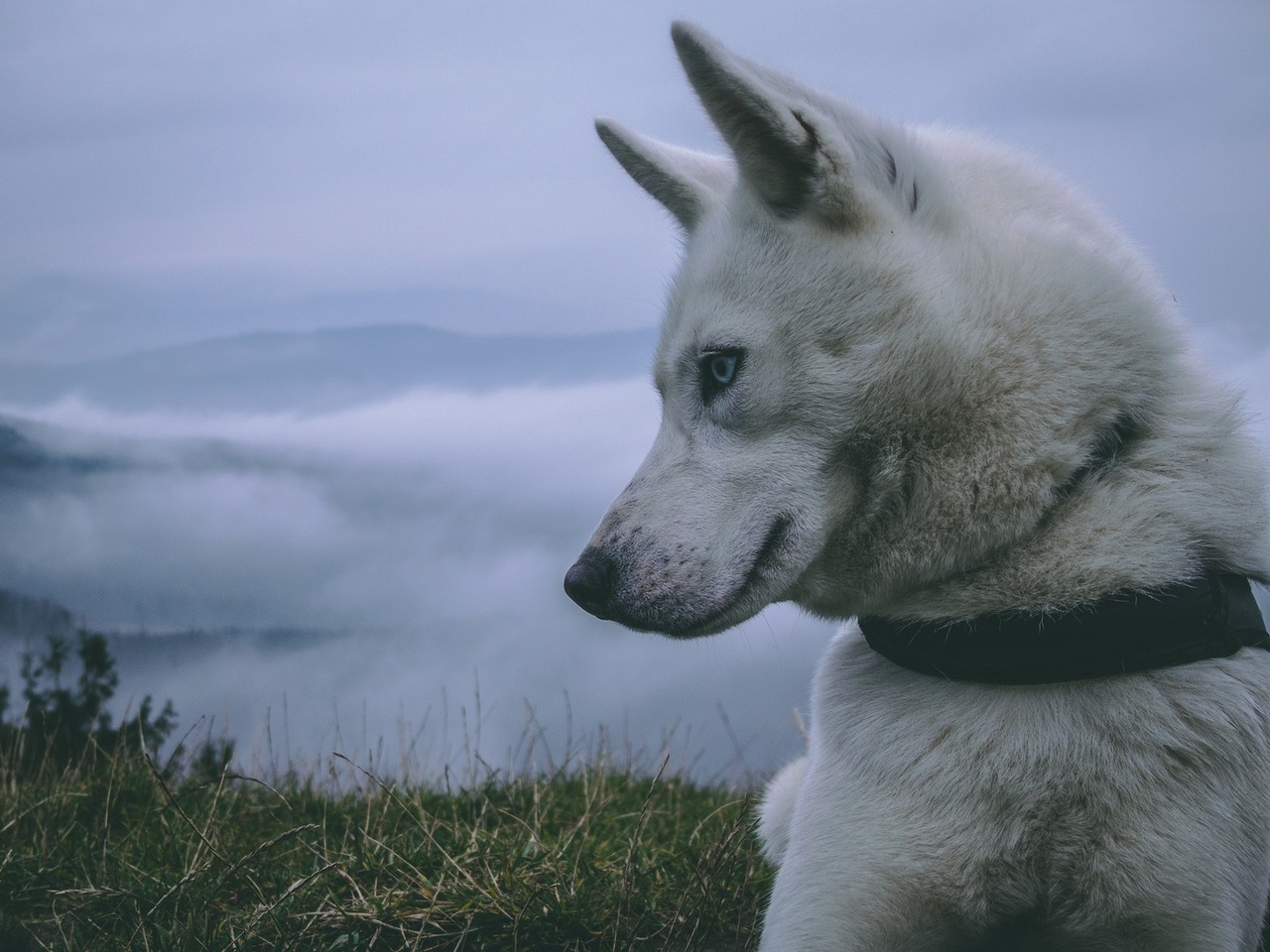 Cutest blog on internet