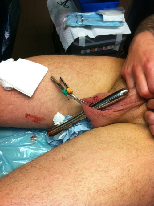 everythingandnothingpiercing: Transport scrotal