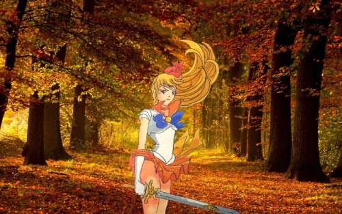 koxeiri-neko:Sailor Venus