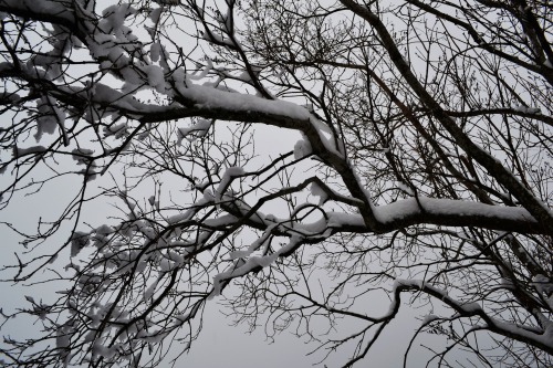 swedishvikingwoman:  Winter is finally here, i hope the snow will stay until next year :) 