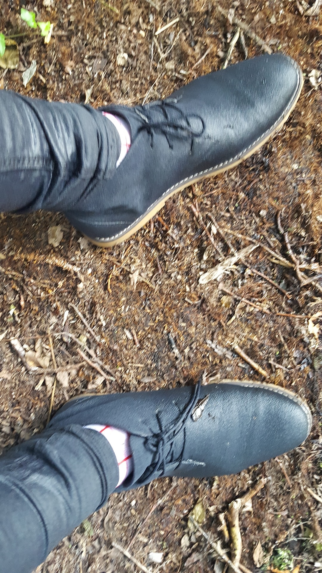 wetandwee:Pissed myself then walked into a lake. Had to be done.