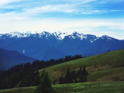 Hurricane Ridge … I recognize home