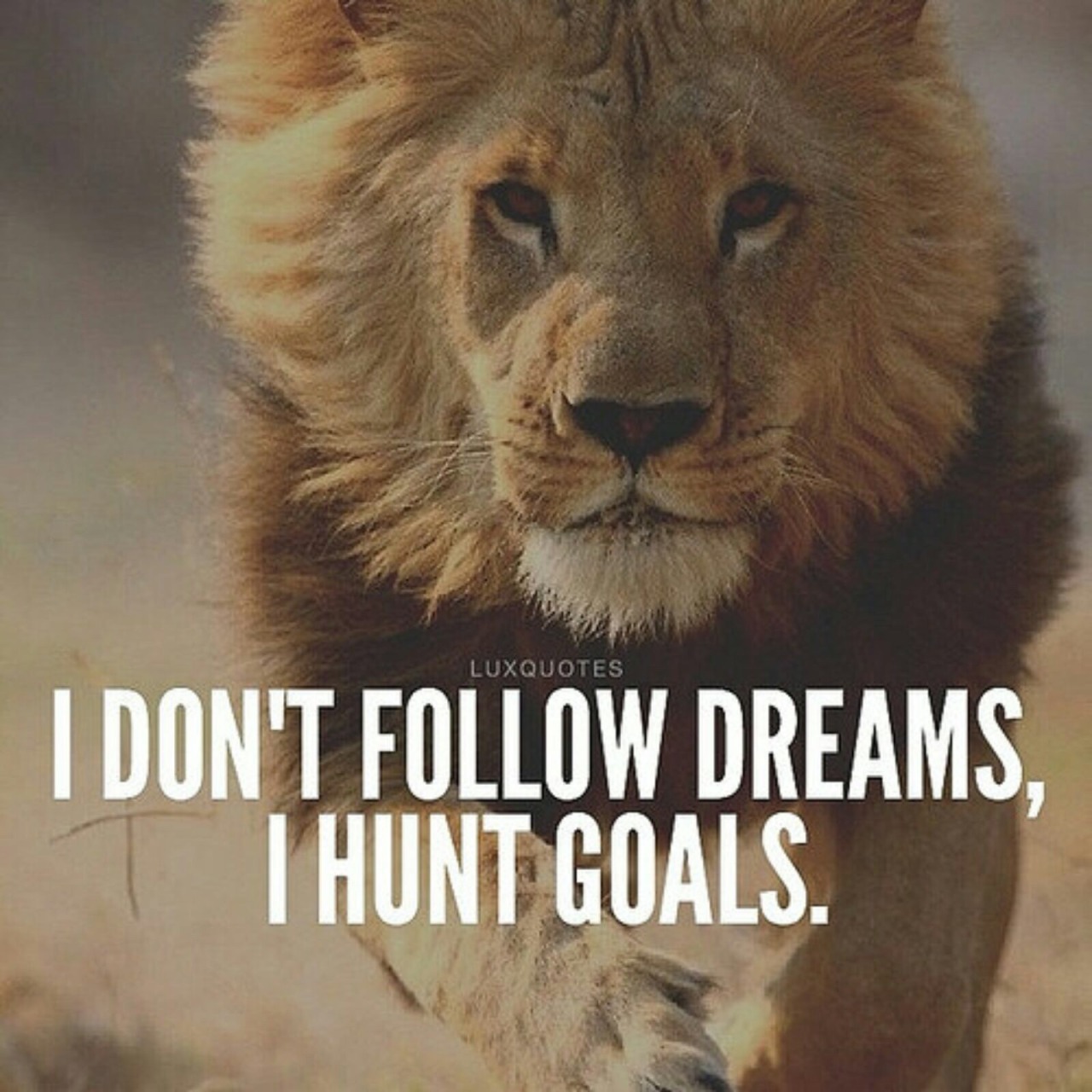 Dreams and goals