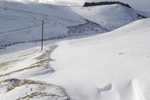 This is the road to our house, crotch deep in drifting snow. No cars are coming or going on this tra
