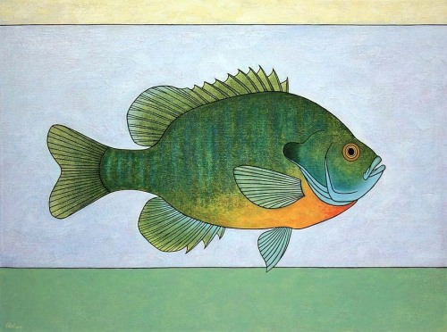 engelart:“Bluegill”, 2019 by Norman Engel