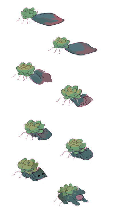 antosescape:how Lil succulent Bulbasaurs are born <3please do not repost on other sites