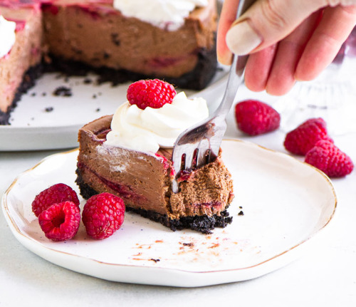  Chocolate Raspberry Cheesecake | Itsy Bitsy Kitchen 